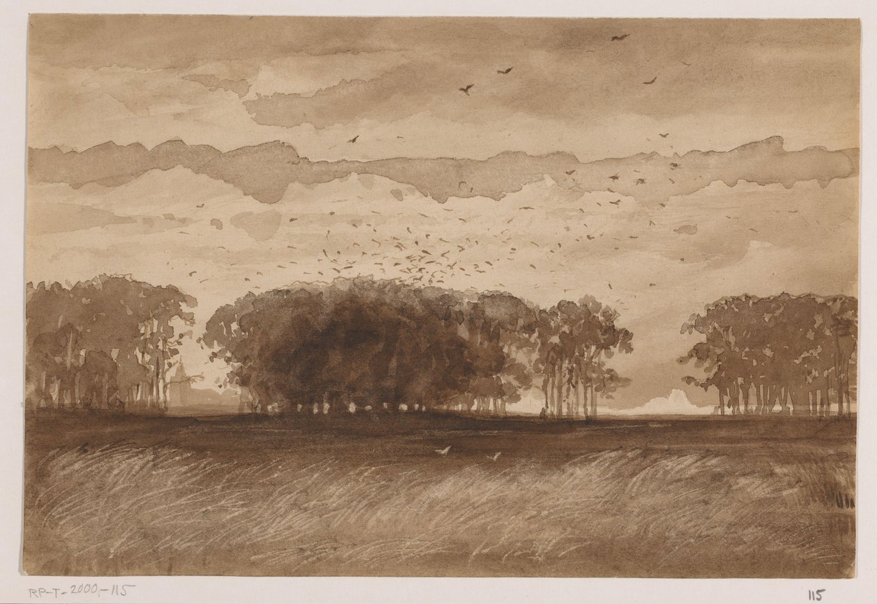 Rookery w Brabancji Północnej autorstwa Johannes Tavenraat (signed by artist)