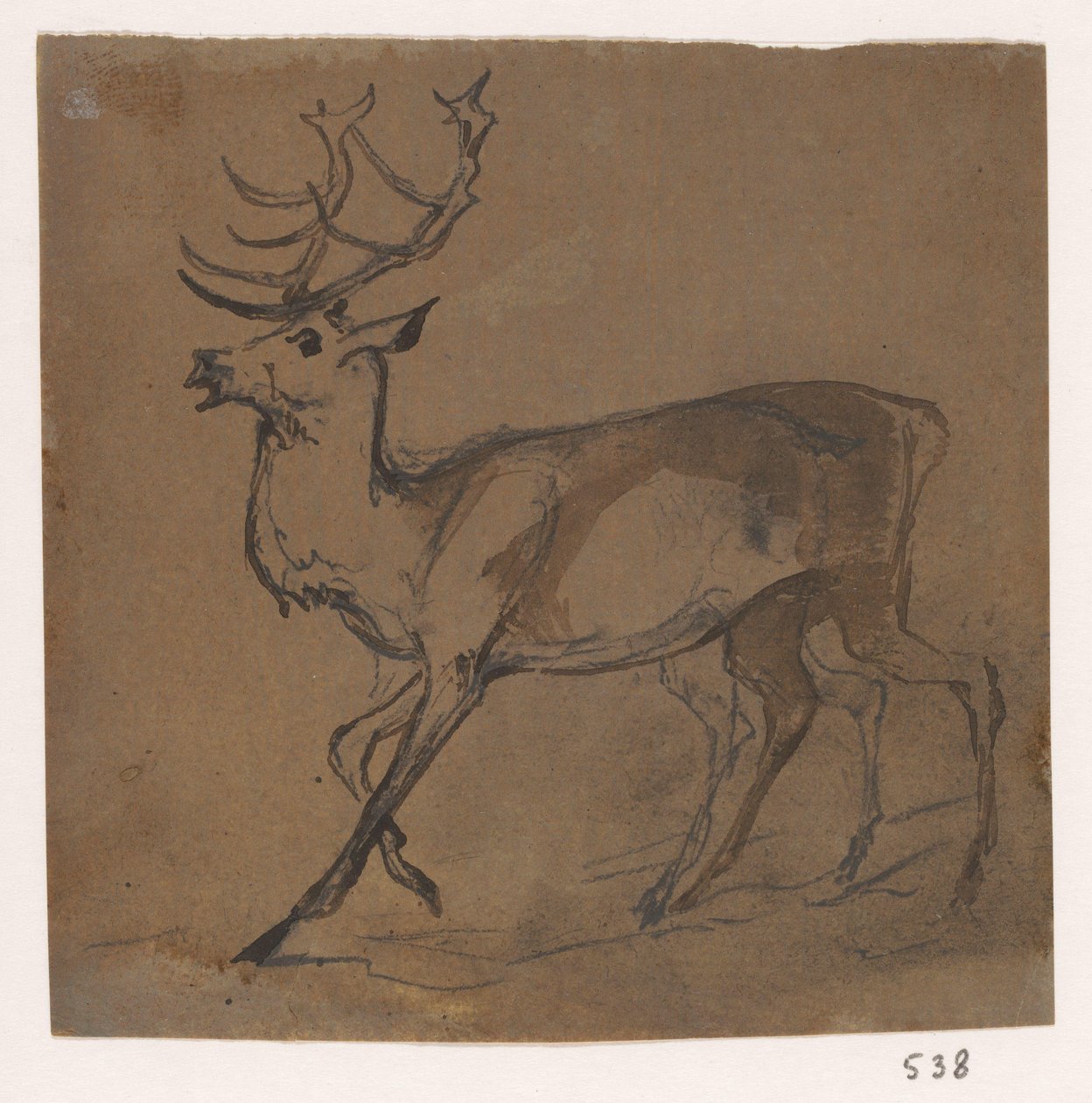 Hert autorstwa Johannes Tavenraat