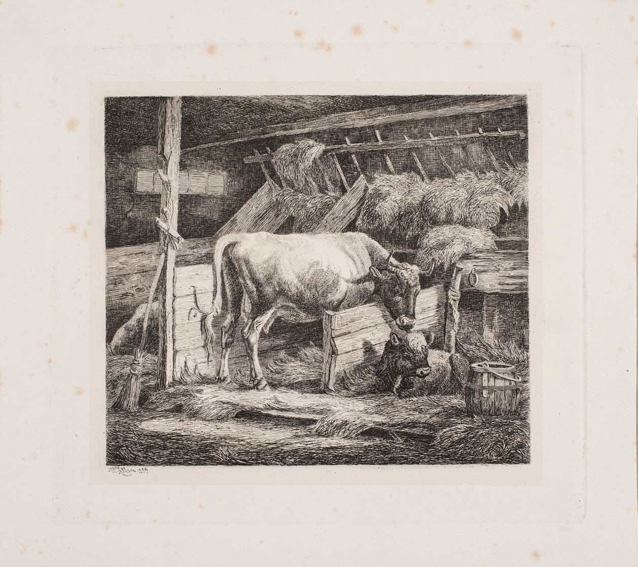 Obora autorstwa Johannes Wilhelm Zillen