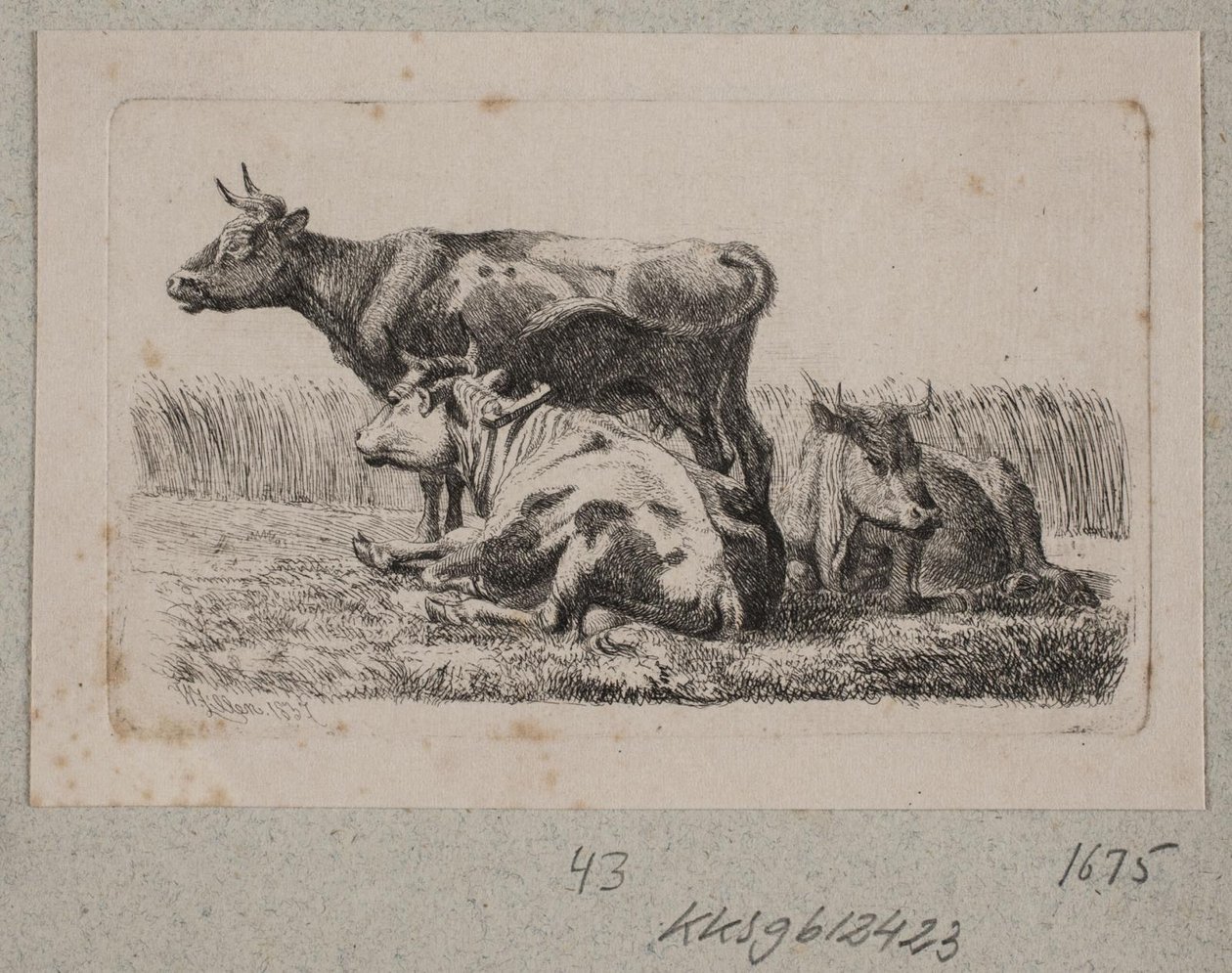 Trzy krowy autorstwa Johannes Wilhelm Zillen