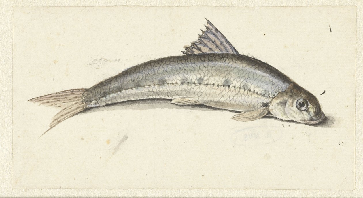 gondola autorstwa Johannes le Francq van Berkhey