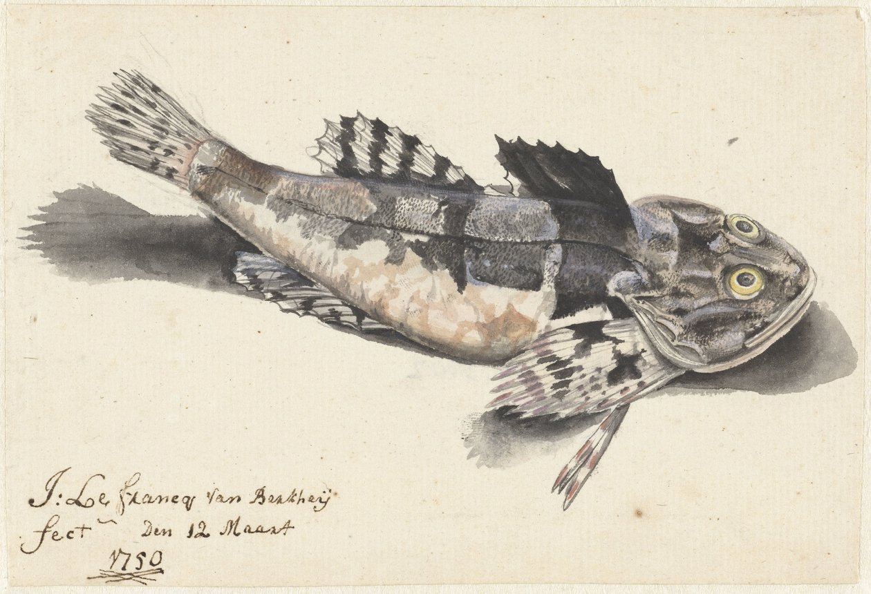 Droga podmorska autorstwa Johannes le Francq van Berkhey