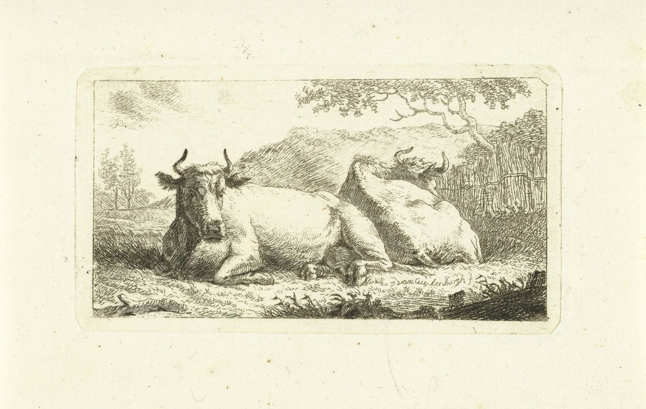 Dwie leżące krowy autorstwa Johannes van Cuylenburgh