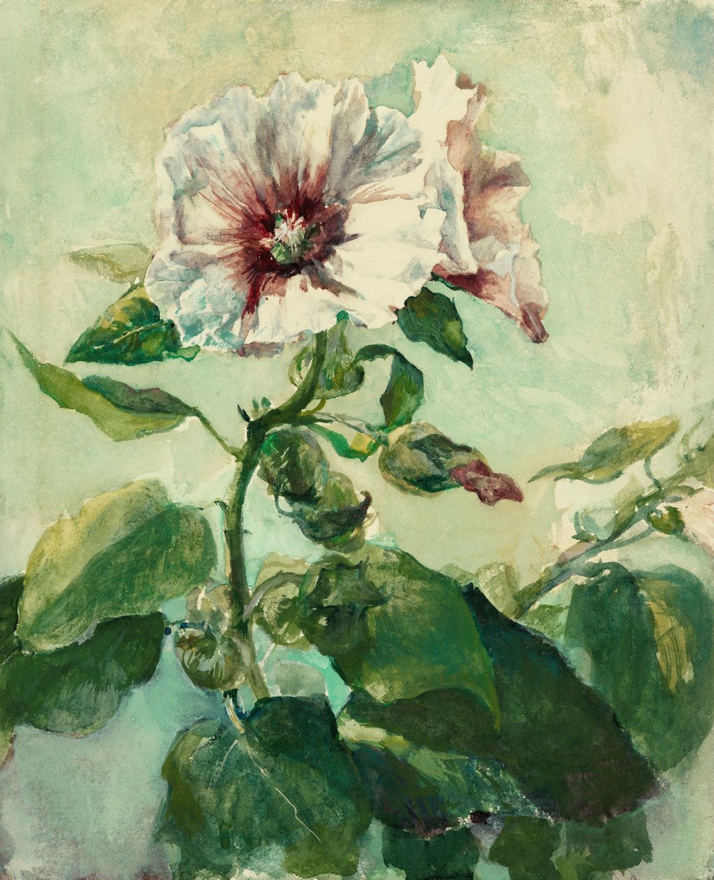 Badanie różowych malw w świetle słonecznym, z natury autorstwa John La Farge or Lafarge