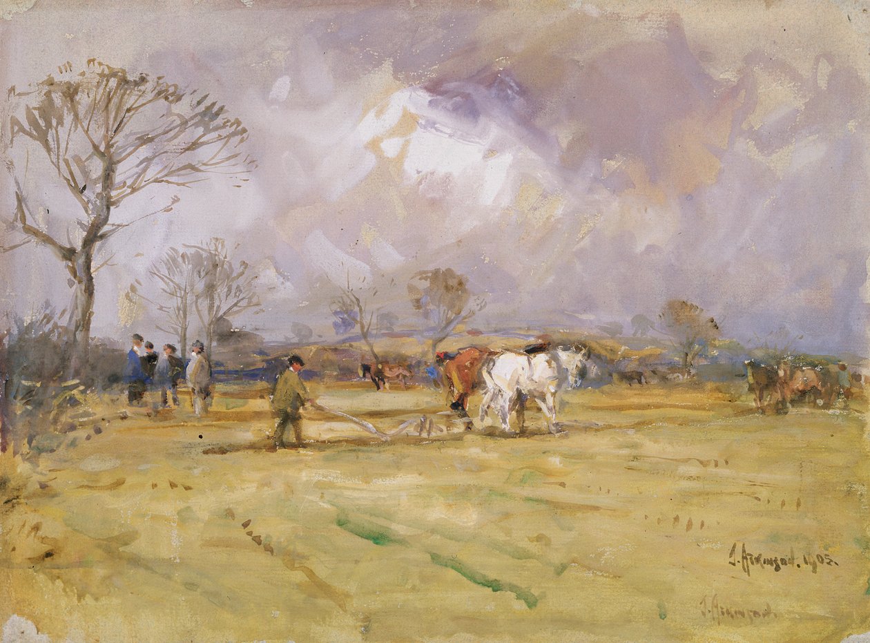 د پلو ټیم، 1905 پولی autorstwa John Atkinson