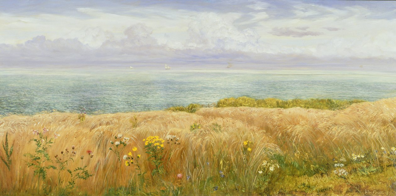 Lato na klifach, 1891 autorstwa John Brett