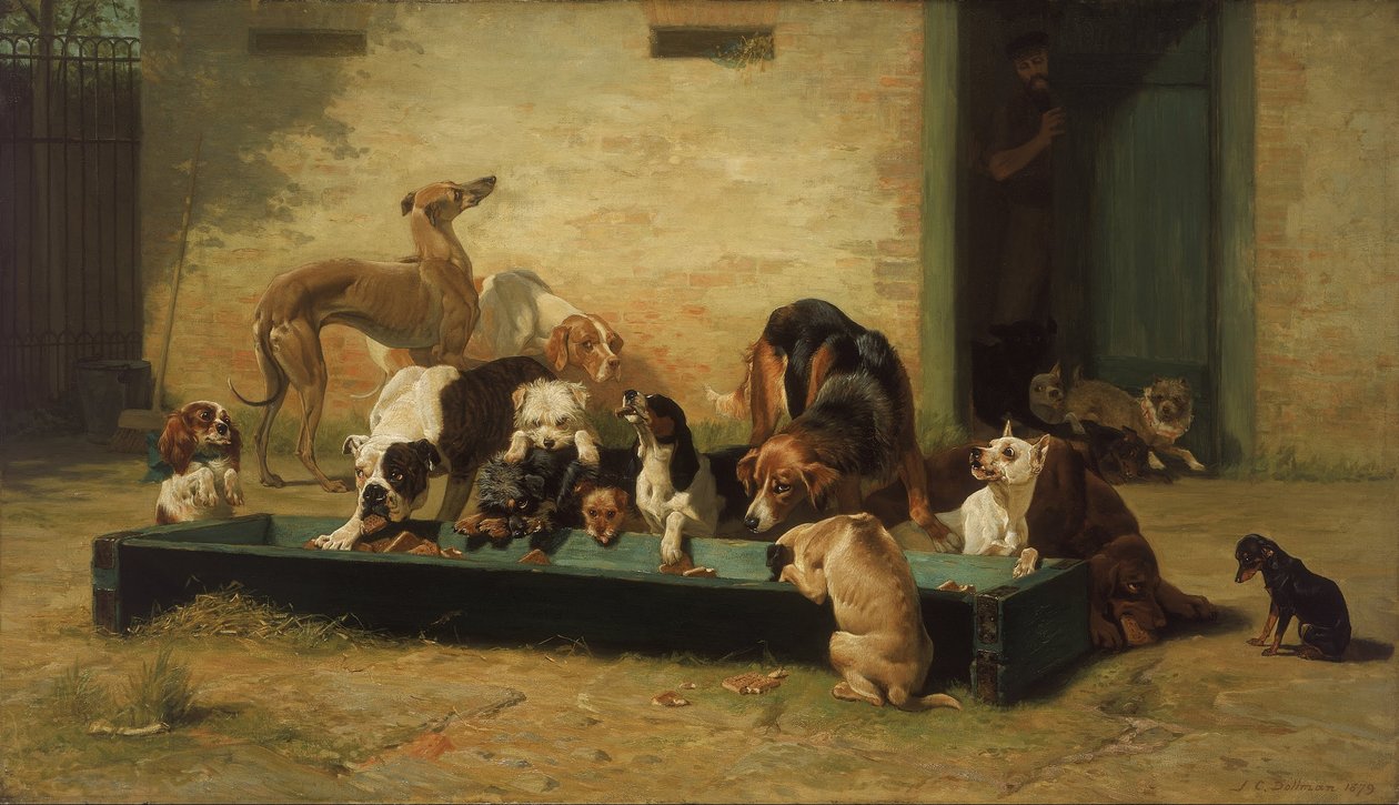 Stół dHote w domu dla psów autorstwa John Charles Dollman
