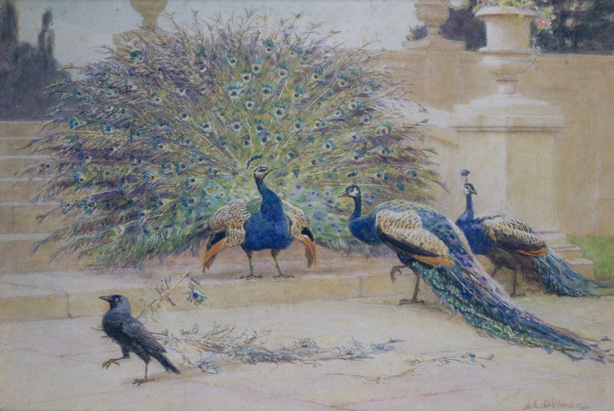 Pożyczony pióropusz autorstwa John Charles Dollman