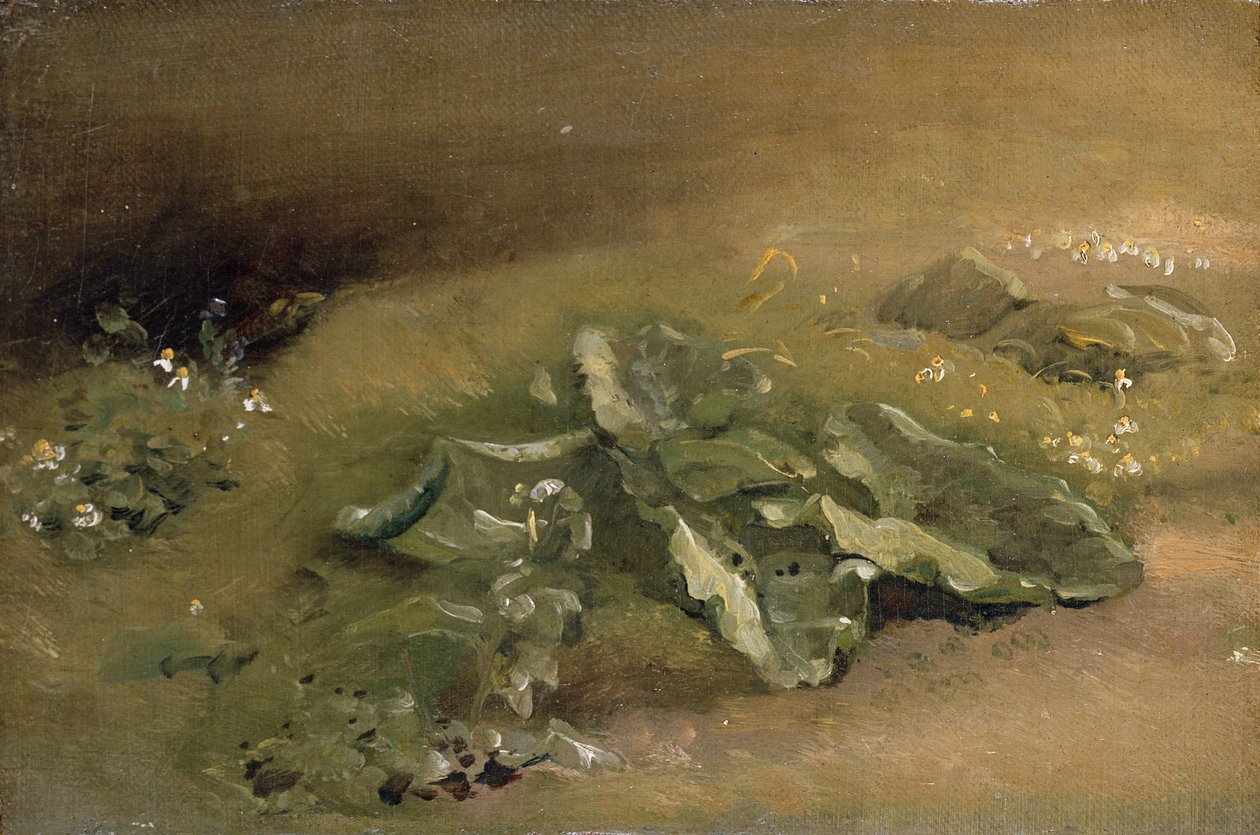 Studium łopianu autorstwa John Constable