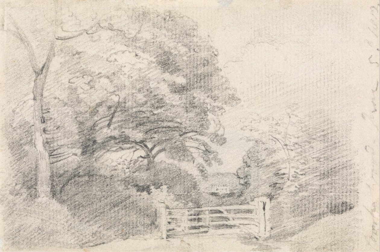 Drewno Coombe autorstwa John Constable