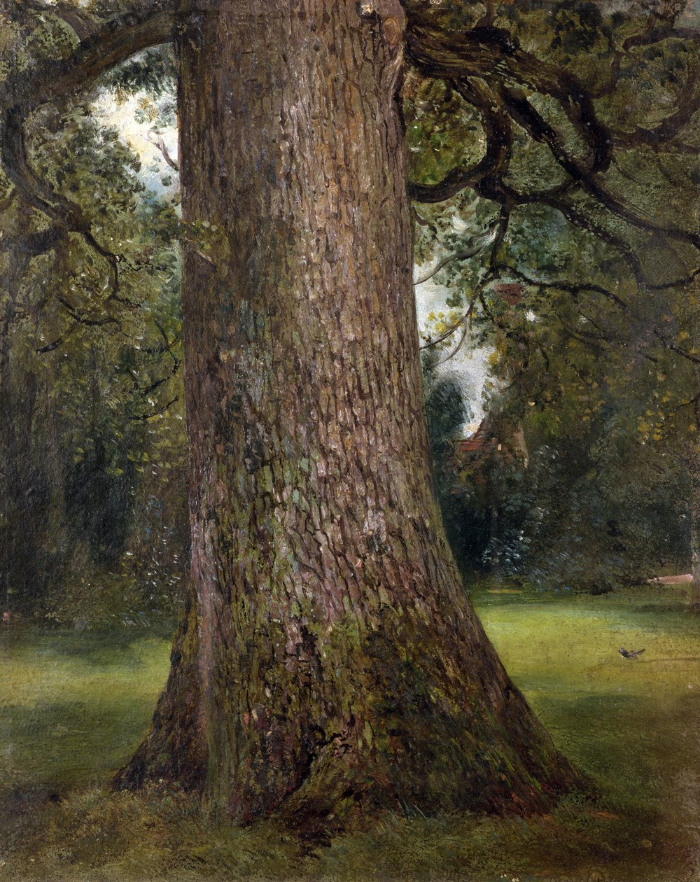 Studium pnia drzewa wiązowego, ok. 1821 (olej na papierze) autorstwa John Constable