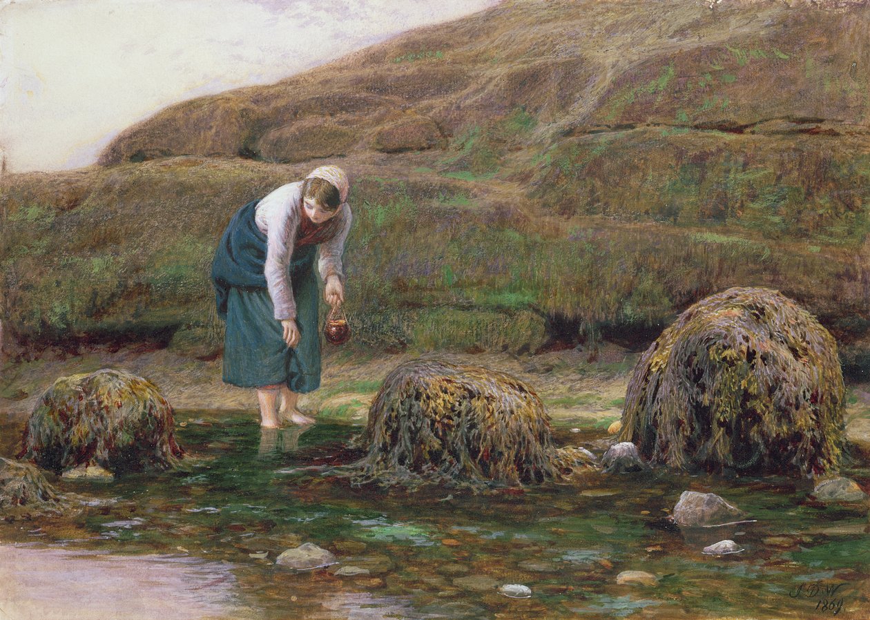 Zbieracz Winkle, 1869 autorstwa John Dawson Watson