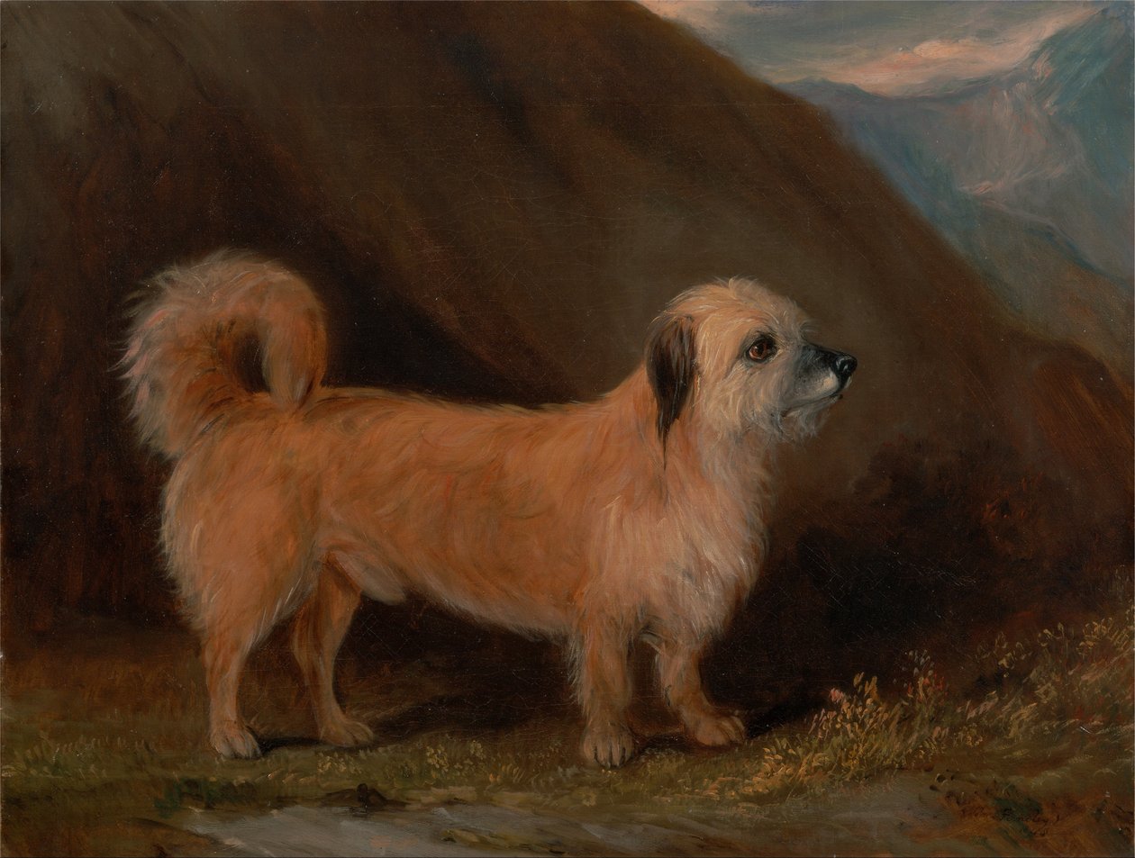 Dandie Dinmont Terrier autorstwa John E. Ferneley