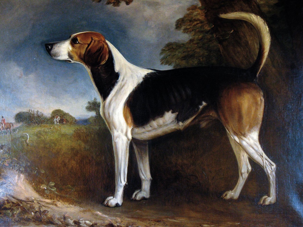 Rallywood, 1850 autorstwa John E. Ferneley