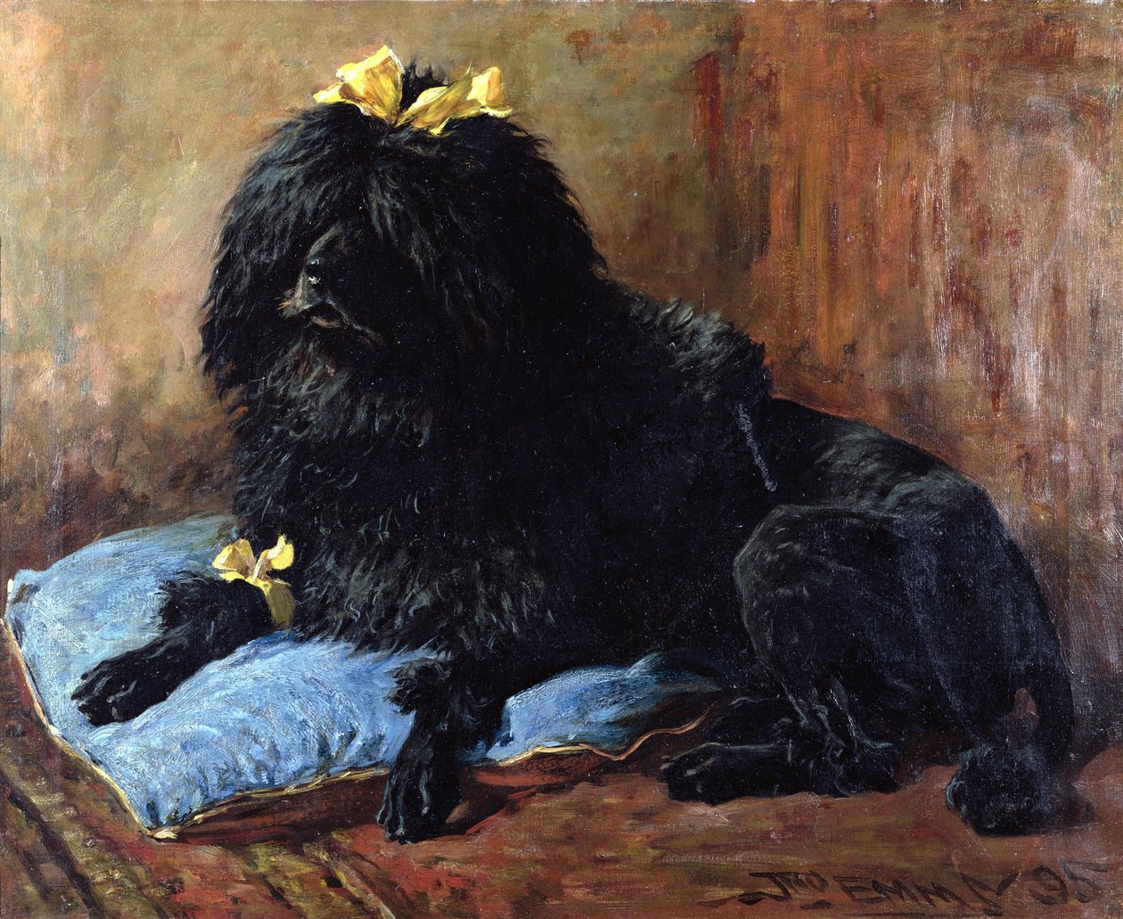 Czarny pudel standardowy na niebieskiej poduszce, 1895 autorstwa John Emms