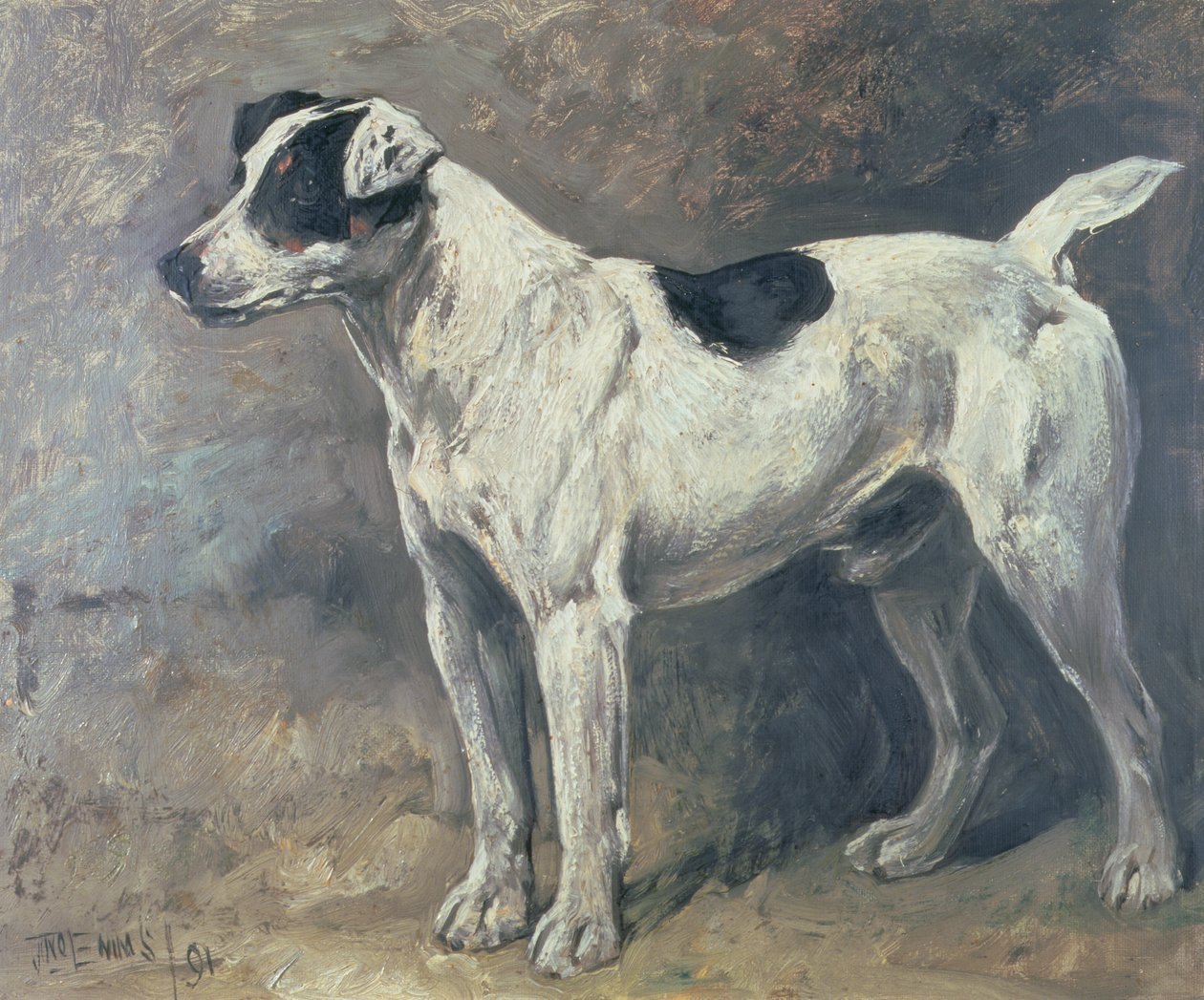 Jack Russell, 1891 autorstwa John Emms