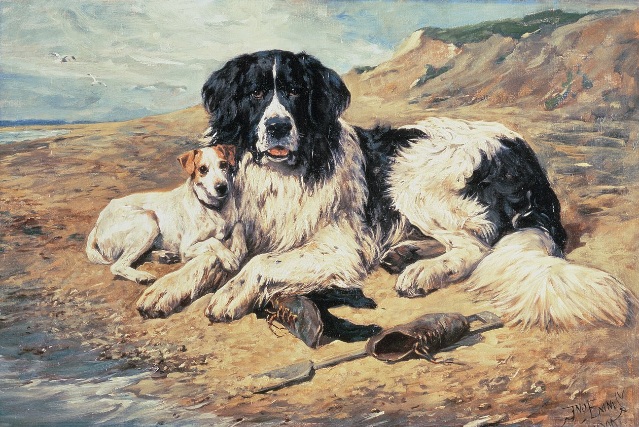 Psy obserwujące kąpiących się, 1900 autorstwa John Emms