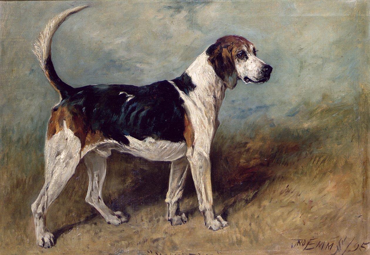 Kamień Księżycowy, 1895 autorstwa John Emms