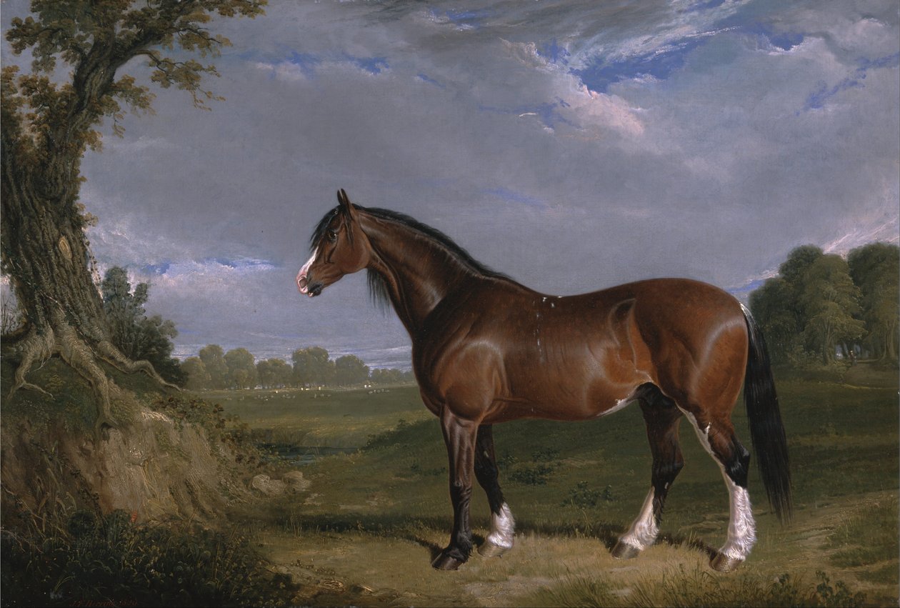 Ogier Clydesdale autorstwa John F. Herring