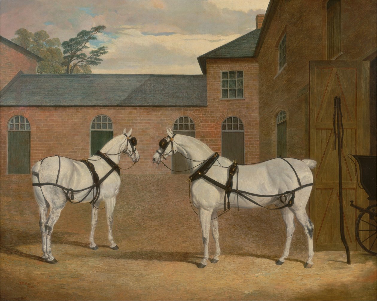 Siwe konie zaprzęgowe na wozowni w Putteridge Bury, Hertfordshire autorstwa John F. Herring