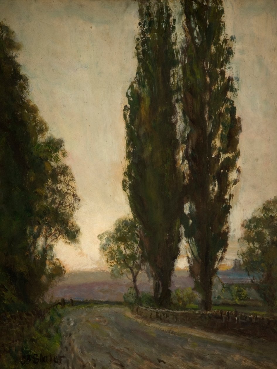 Topole Lombardzkie autorstwa John Falconar Slater