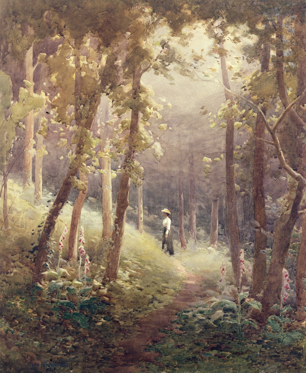Leśna polana autorstwa John Farquharson