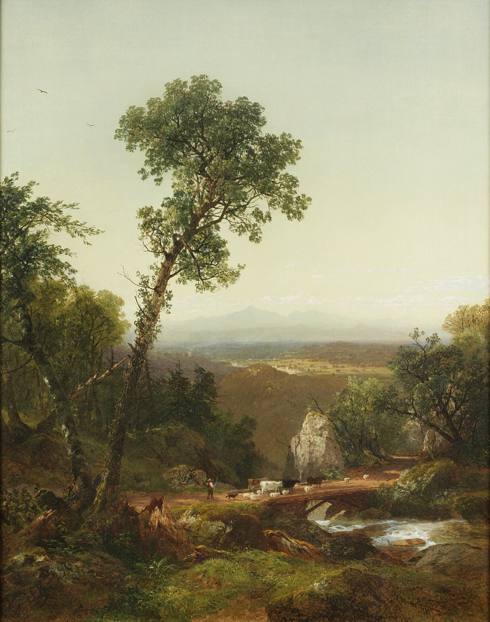 Krajobraz Białej Góry, 1859 autorstwa John Frederick Kensett