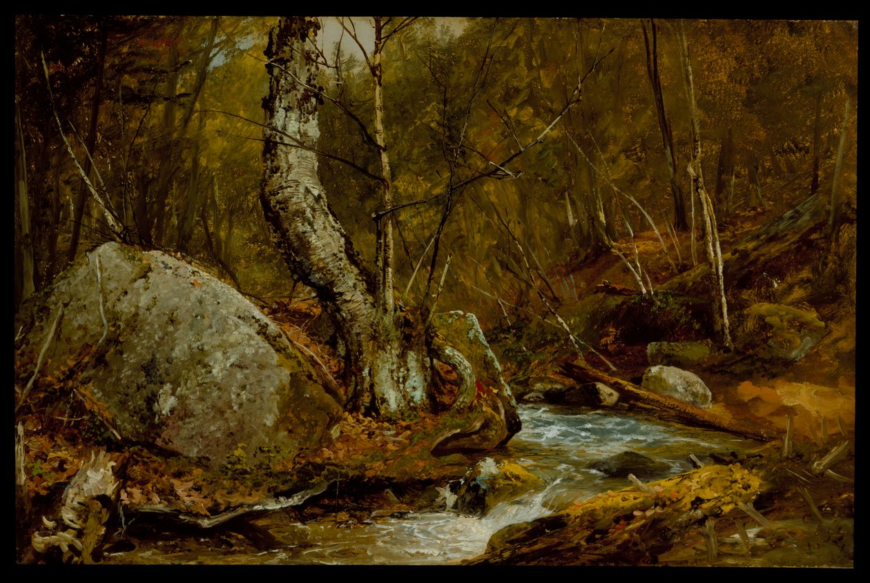 Wnętrze leśne, ok. 1850-55 autorstwa John Frederick Kensett