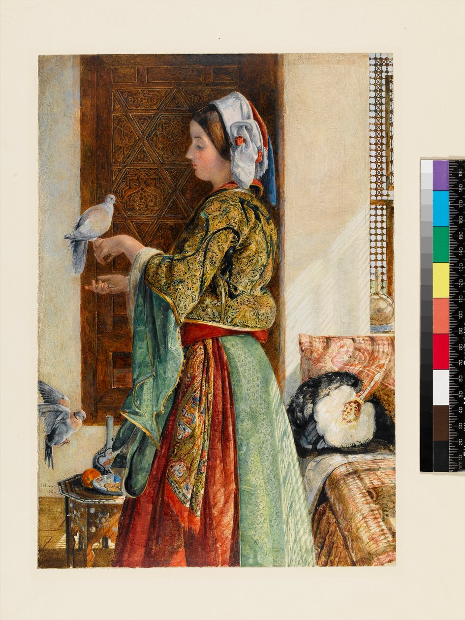 Dziewczyna z gołębiami w dwóch klatkach, Kair, 1864 (toaleta i kolor ciała na ołówku na cienkim kartonie) autorstwa John Frederick Lewis