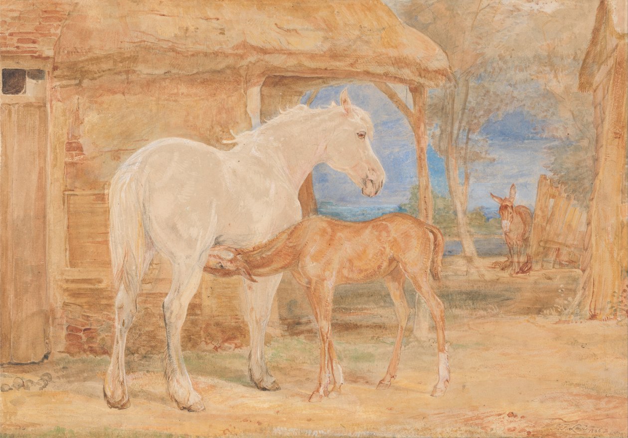Siwa klacz i kasztanowe źrebię autorstwa John Frederick Lewis