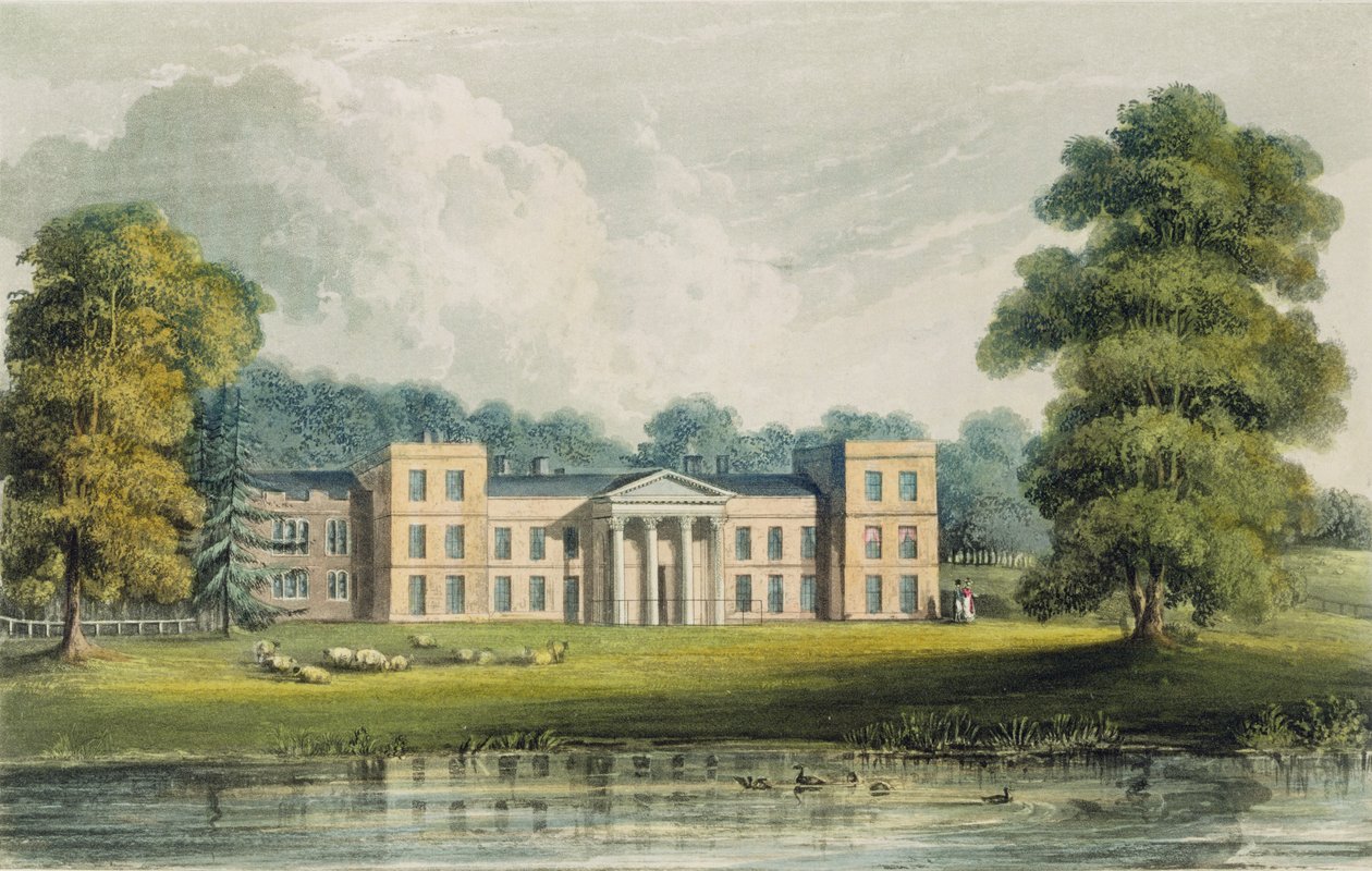 Winorośl z jeziora, z „Repozytorium Sztuki” Ackermanna, 1828 autorstwa John Gendall