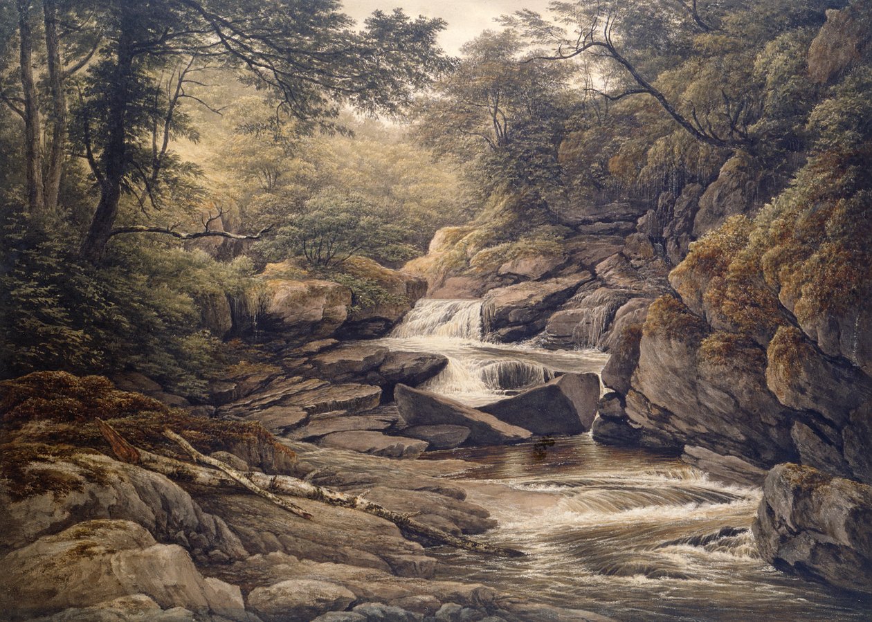 Rhiadr Ddu, niedaleko Maentwrog, Północna Walia autorstwa John Glover