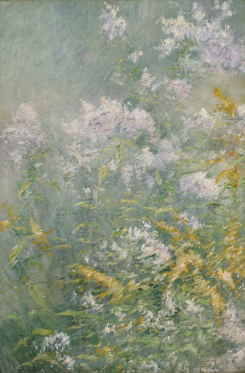 Kwiaty polne (Złota Różdżka i Dziki Aster) autorstwa John Henry Twachtman