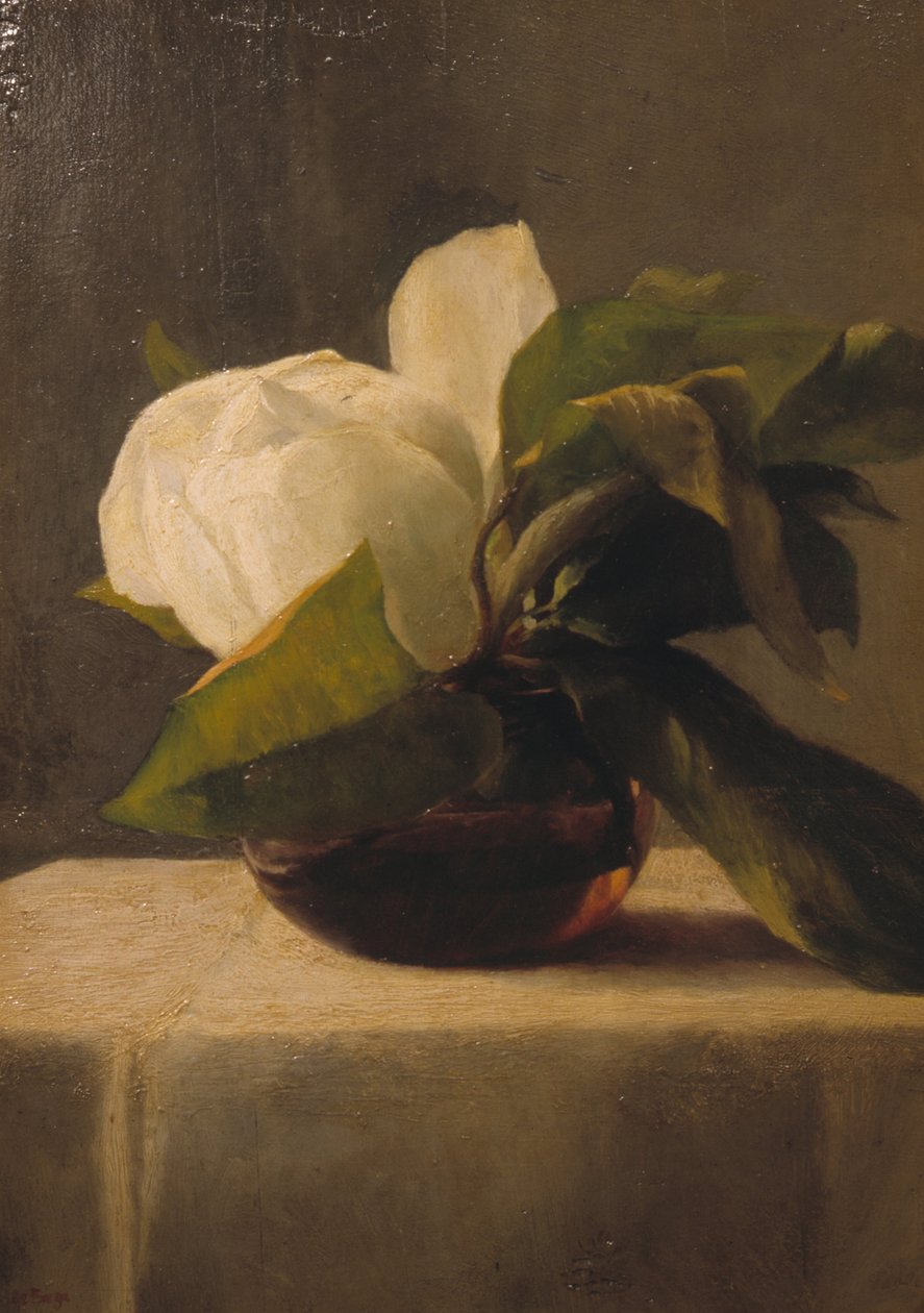 Magnolia autorstwa John La Farge or Lafarge