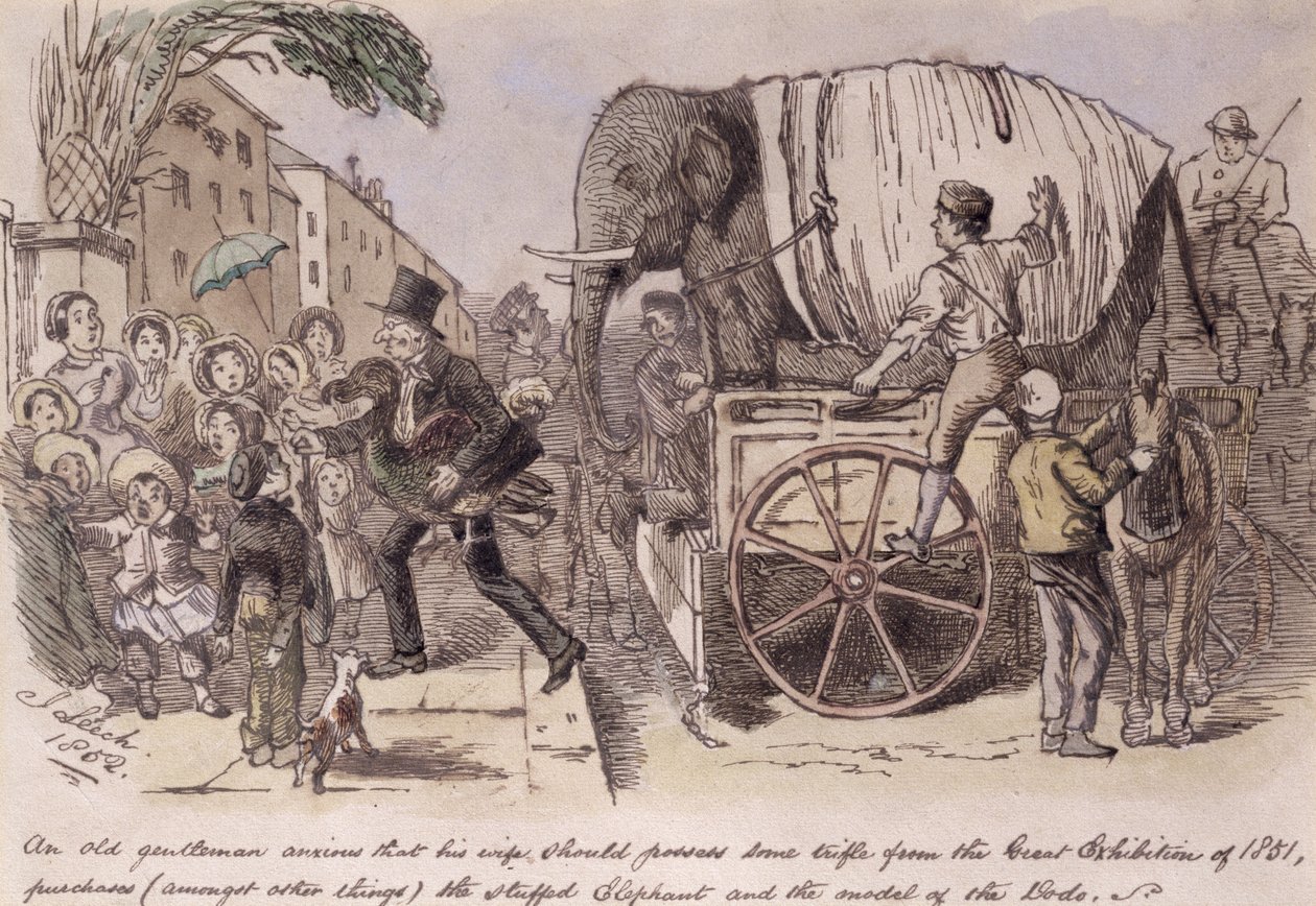 „Stary pan w obawie, aby jego żona posiadała jakiś drobiazg z Wielkiej Wystawy z 1851 roku, kupuje m.in. wypchanego słonia i model dodo”, narysowany dla firmy Punch autorstwa John Leech