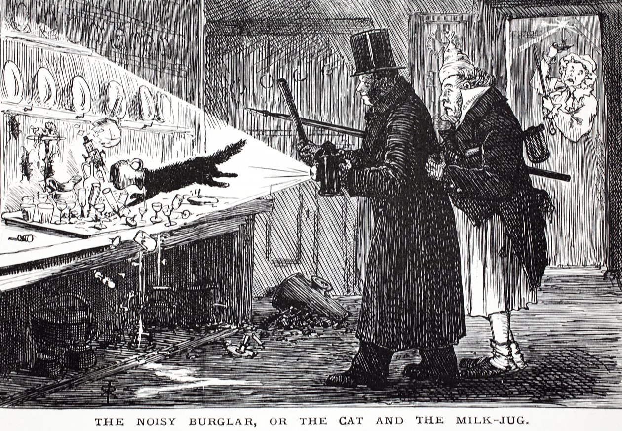 Hałaśliwy włamywacz, czyli kot i mlecznik autorstwa John Leech
