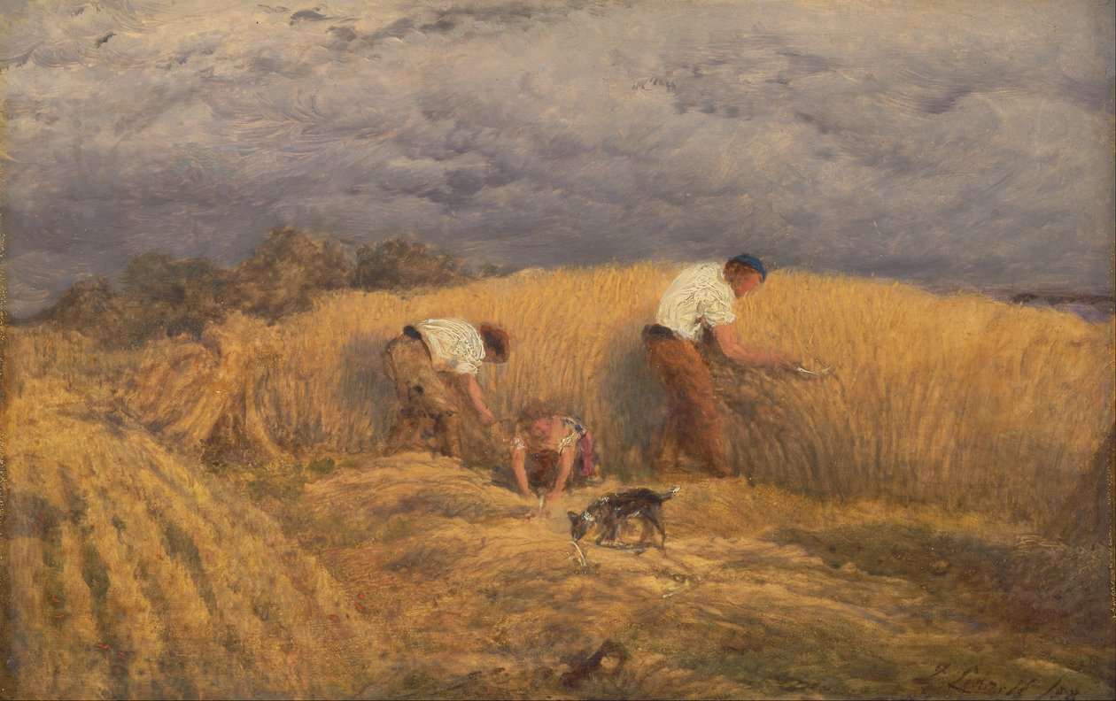 Skończone studium do żniwa autorstwa John Linnell