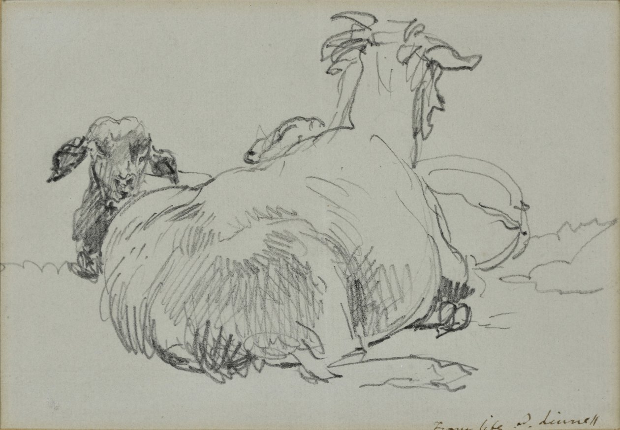 Dwie owce autorstwa John Linnell