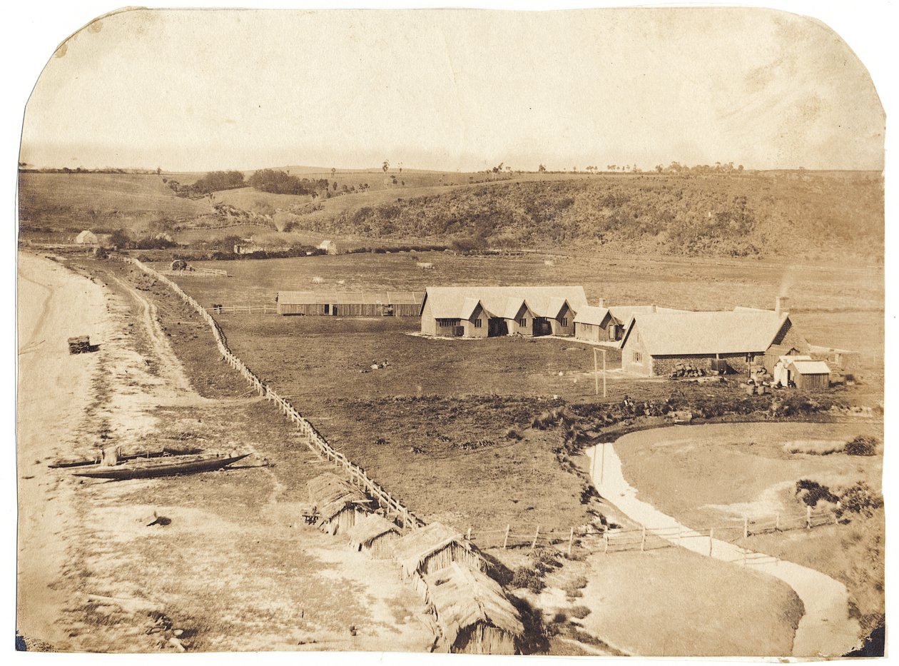 Kohimarama, ok. 1860 r. (odbitka solna albenizowana) autorstwa John Nicol Crombie