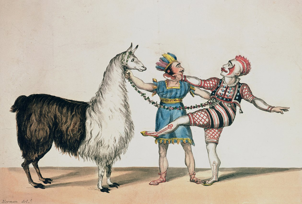Grimaldi i alpaka, w Popularnej Pantomimie Czerwonego Karła, wyd. 1813 w Londynie autorstwa John Norman