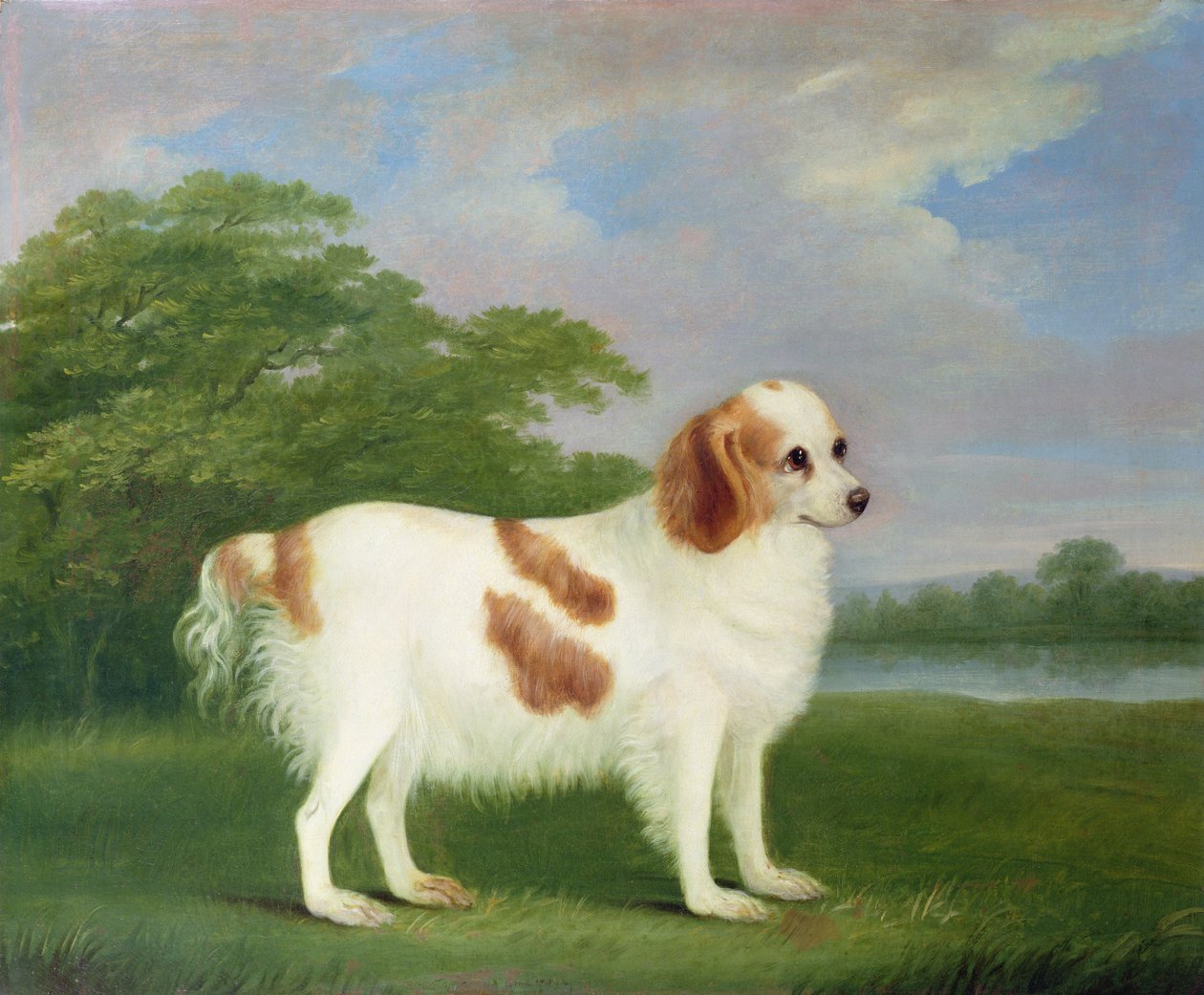 Spaniel w krajobrazie, 1789 autorstwa John Nott Sartorius