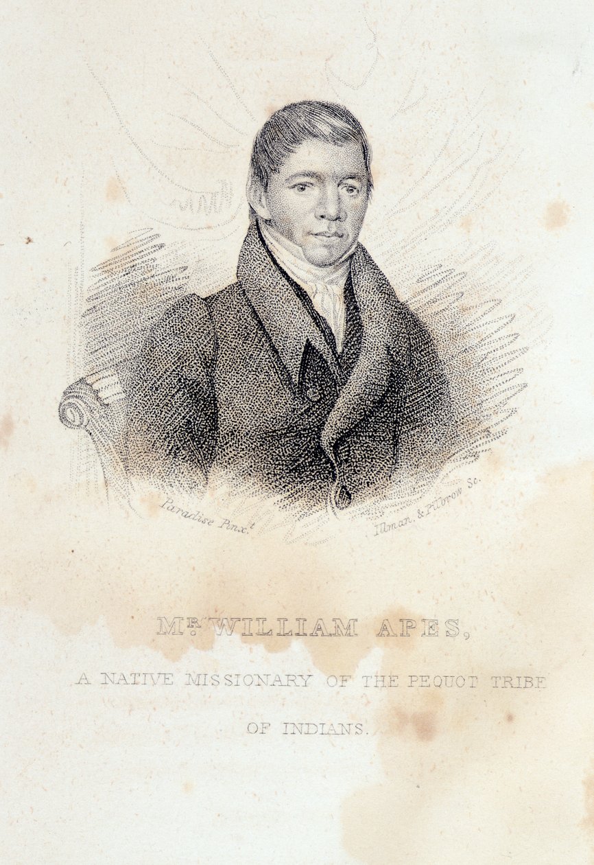 Portret Williama Apesa, rytowany przez Illmana i Pilbrow autorstwa John Paradise