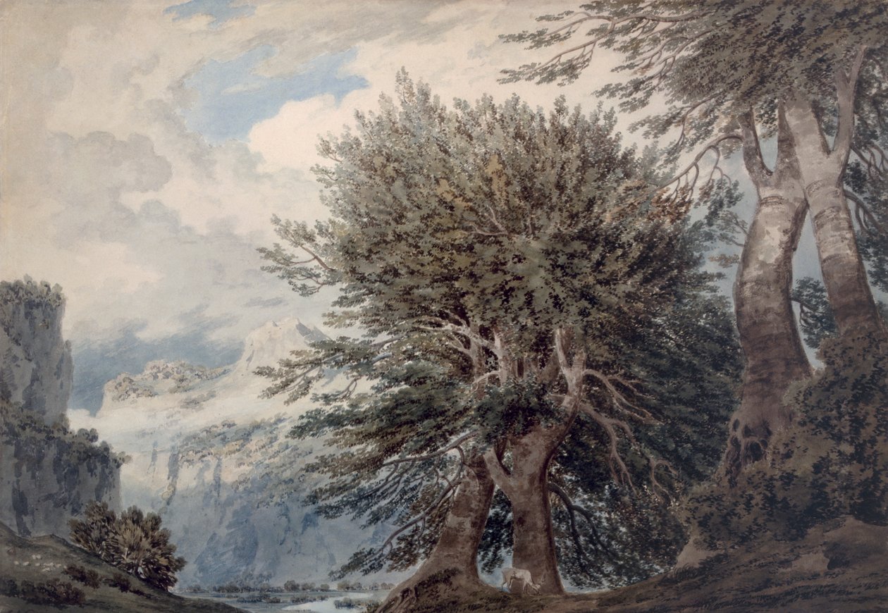 Górzysty krajobraz z bukami, 1792 autorstwa John Robert Cozens