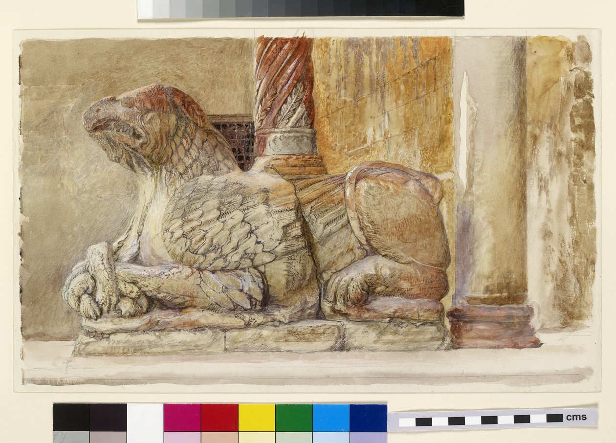 Gryf, Werona, XIX w. autorstwa John Ruskin
