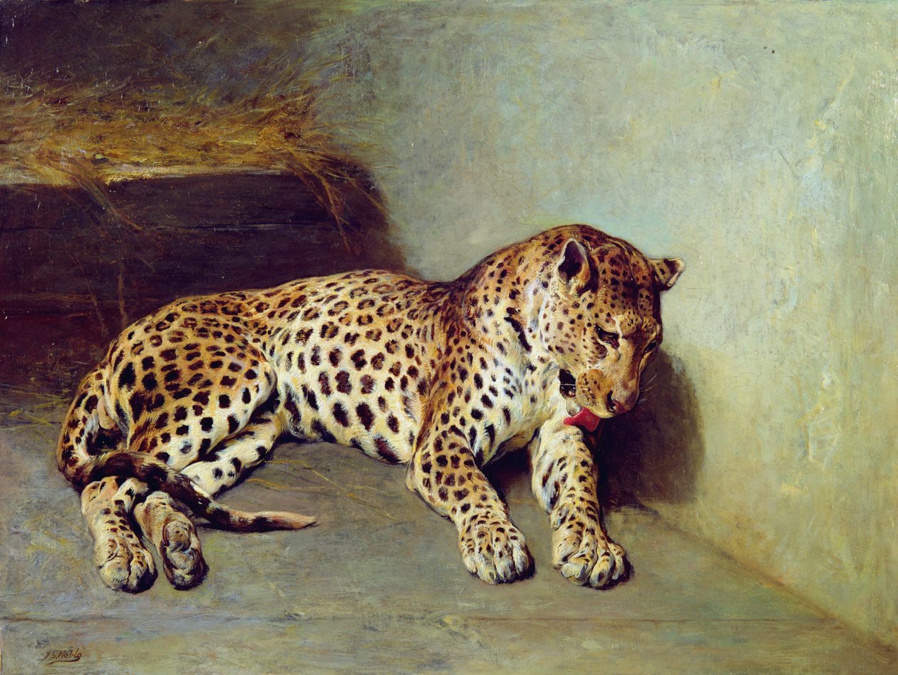 Lampart autorstwa John Sargent Noble