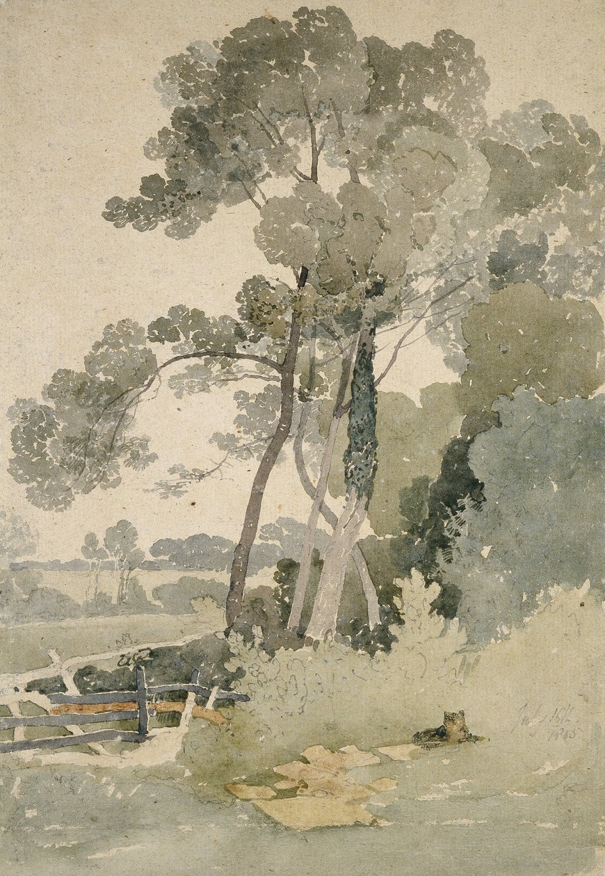 Blisko Brandsby, Yorkshire, 1865 (akwarela na papierze) autorstwa John Sell Cotman