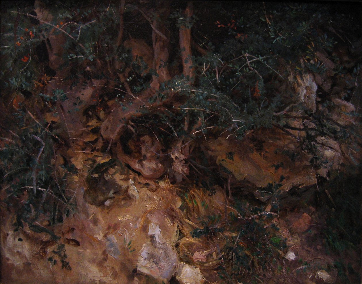 Valldemossa, Majorka: osty i zioła na zboczu wzgórza autorstwa John Singer Sargent