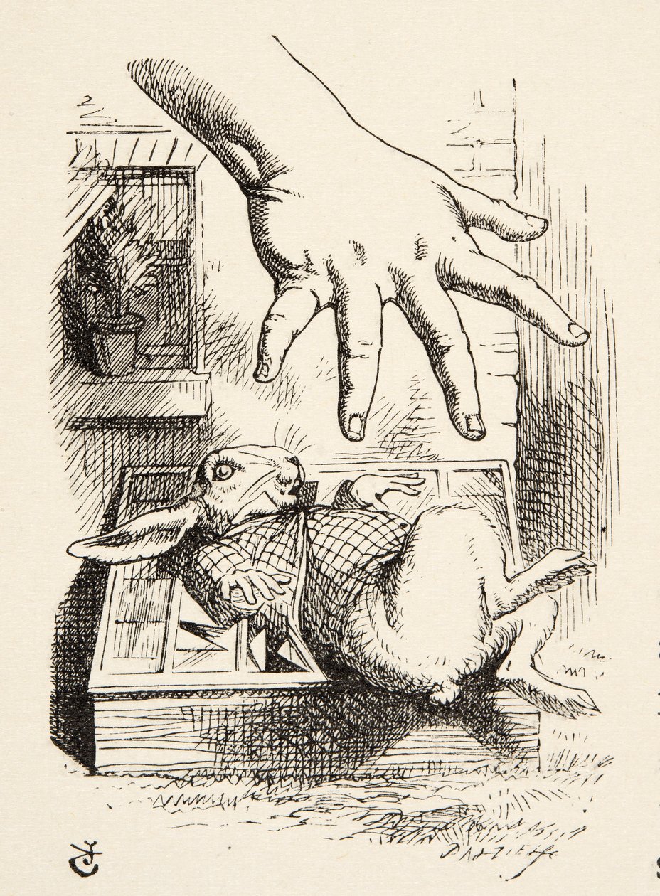 Alicja upuszcza The White Rabbit, z Alices Adventures in Wonderland Lewisa Carrolla (1832 - 98), opublikowanej w 1891 roku autorstwa John Tenniel
