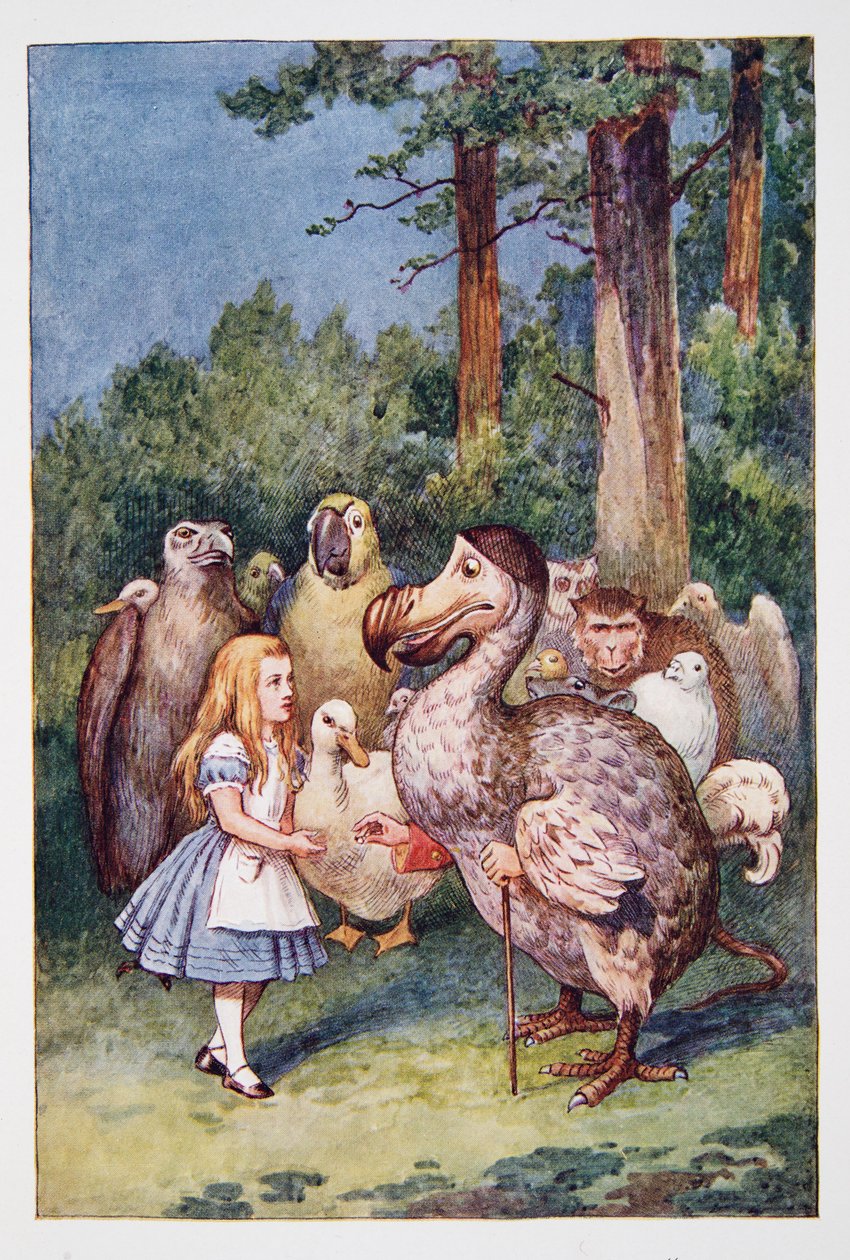 Alicja spotyka Dodo, z Alicji w krainie czarów i po drugiej stronie lustra i tego, co Alicja tam znalazła, autorstwa Lewisa Carrolla (1832 - 98), opublikowanej w 1911 r. (kolorowa litografia) autorstwa John Tenniel