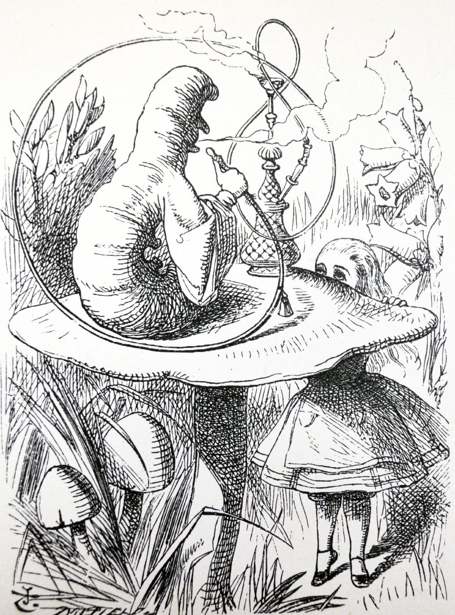Przygody Alicji w Krainie Czarów, 1865 autorstwa John Tenniel